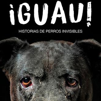 ¡Guau! Historias de Perros Invisibles: una charla con el fotógrafo …