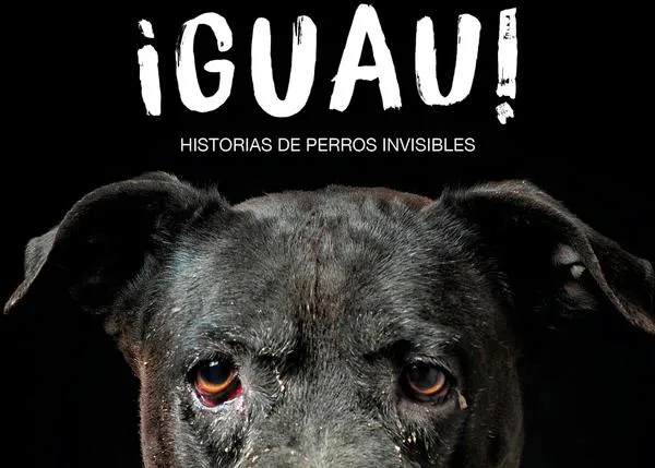 ¡Guau! Historias de Perros Invisibles: una charla con el fotógrafo Andrés López sobre su nuevo -e imprescindible- libro