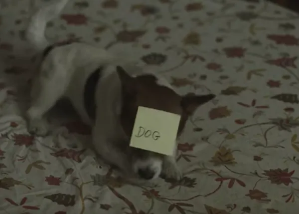 También hay un perro en el que es, posiblemente, el anuncio más bonito de la Navidad
