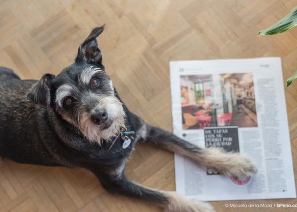 De tapas con can en España: Colega, nuestros libros y SrPerro.com, en El Mundo