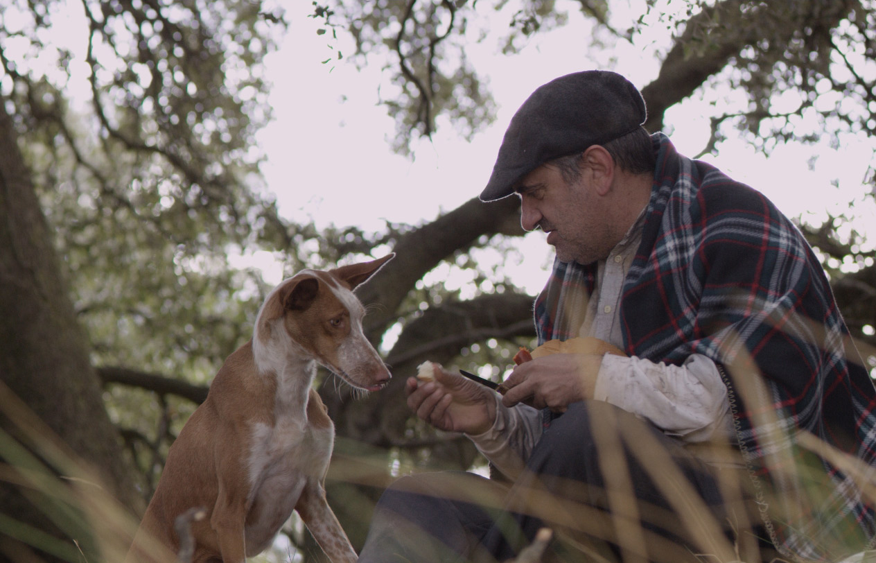 "Cocote, historia de un perro", un desgarrador corto sobre