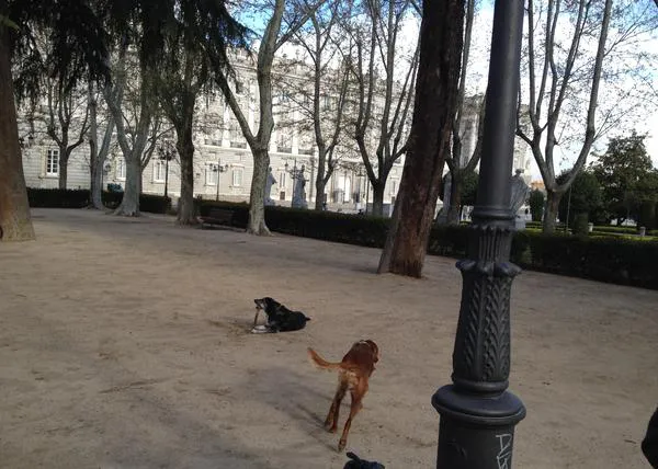 Dueños de perros denuncian problemas con la Policía en los Jardines de la Plaza de Oriente