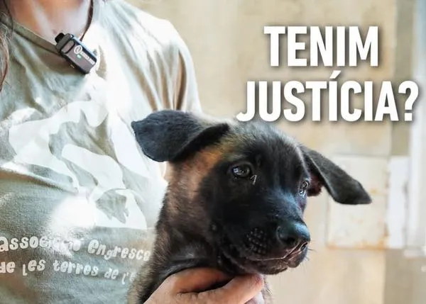 ¿Hay justicia? Associació Engrescats denuncia que les piden devolver una cachorra a quien no la va a cuidar