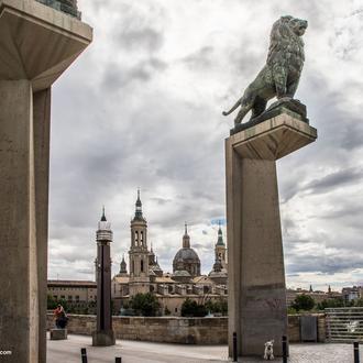 Zaragoza con perro: obligatorio diluir los orines caninos