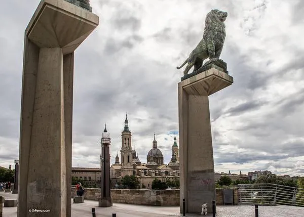 Zaragoza con perro: obligatorio diluir los orines caninos