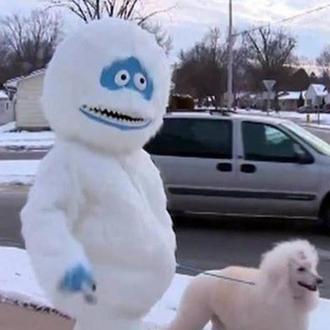 Maneras de pasear al perro en Navidad: el modelo... muñeco …
