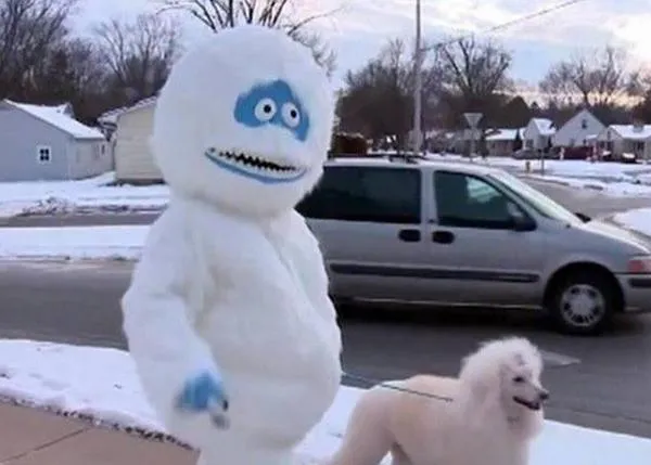 Maneras de pasear al perro en Navidad: el modelo... muñeco de nieve
