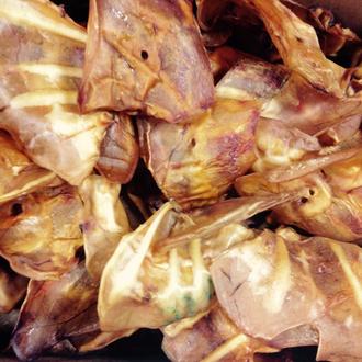 Más de 100 casos de salmonelosis humana en EEUU relacionadas …