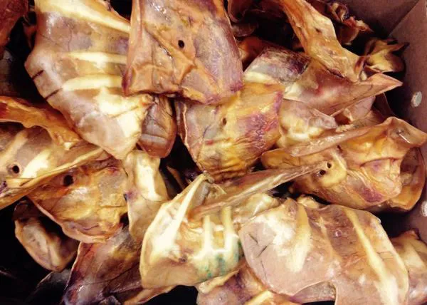 Más de 100 casos de salmonelosis humana en EEUU relacionadas con orejas de cerdo para perros