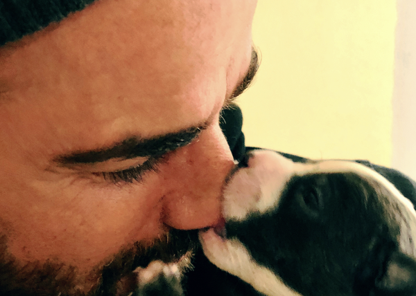 Los amores perros de Justin Theroux: un gran tatuaje y muchos, muchos Pit Bulls
