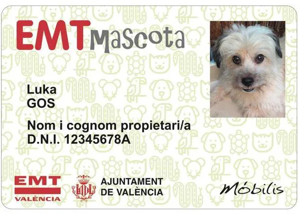 Los perros de menos de 15 kg y en transportín pueden viajar en autobús en Valencia