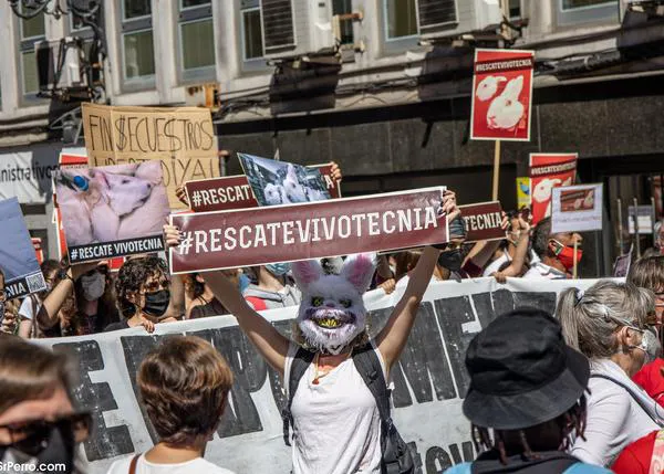 Absueltos los dos trabajadores de Vivotecnia: la justicia ha fallado a los animales (otra vez)
