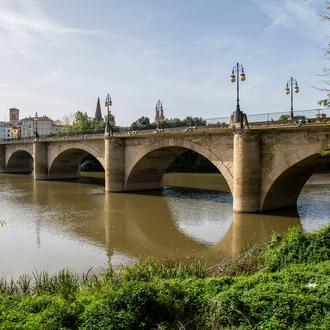 Logroño con perro: acceso a edificios públicos y bodas civiles …