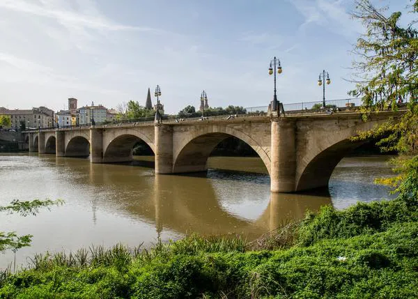 Logroño con perro: acceso a edificios públicos y bodas civiles, sacrificio cero y otras novedades de la Ordenanza