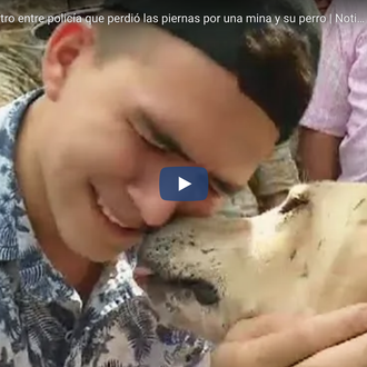 Emoción y lágrimas en el reencuentro de un policía que …