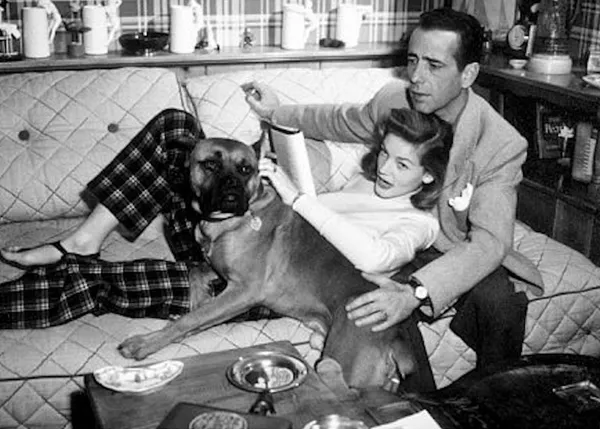 Lauren Bacall y los perros, un amor que duró toda la vida