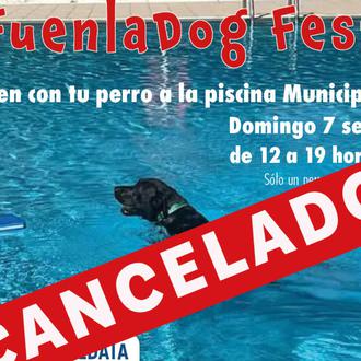 Los perros son demasiado sucios para las piscinas municipales, según …