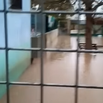 La Protectora de Xátiva necesita casas de acogida para los …