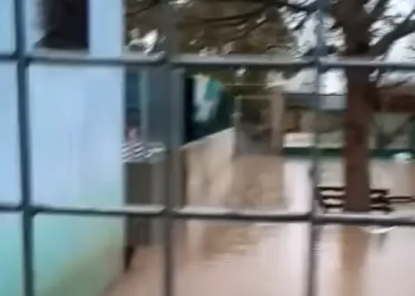 La Protectora de Xátiva necesita casas de acogida para los animales de su refugio, inundado hoy