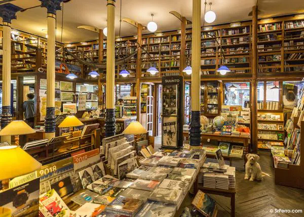 El día del libro más canino, las recomendaciones de SrPerro: 35 librerías donde los perros son siempre bienvenidos