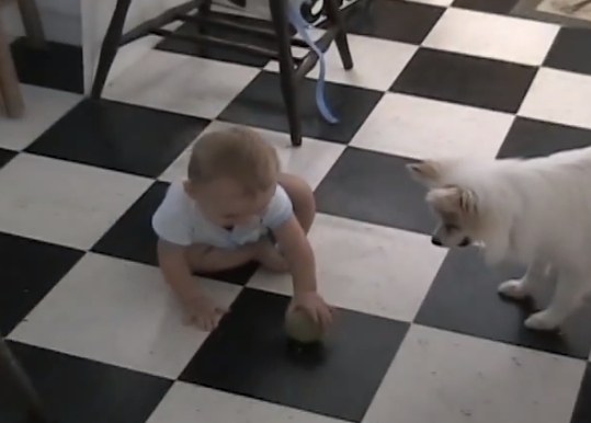 Dos amigos... un bebé y un perro jugando a la pelota