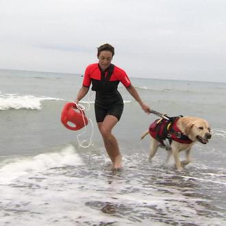 ¿Cómo es el entrenamiento de los perros de rescate acuático …