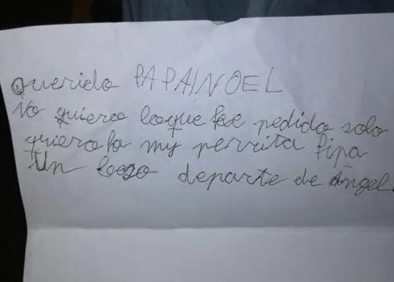Escribe a Papá Noel renunciando a todos sus regalos si puede encontrar a su perra perdida, a Pipa