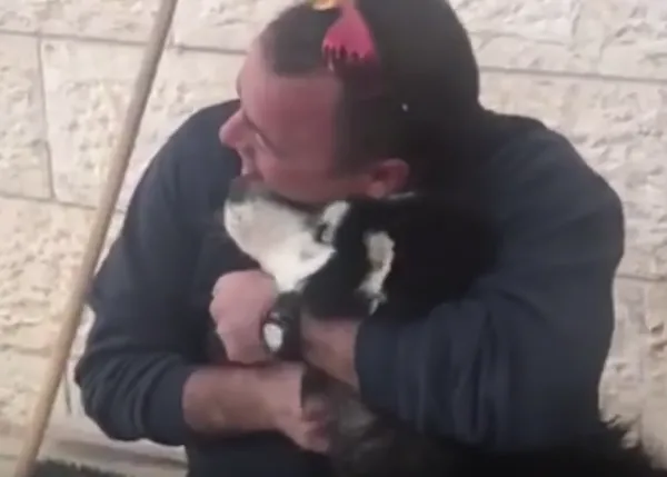 Un perro perdido se reencuentra con su familia ¡gracias a sus gustos musicales!