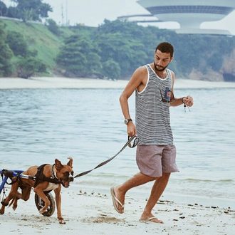 Las lecciones cotidianas que nos dan algunos perros: 