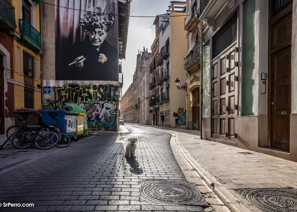 Valencia quiere ser pet friendly: el Ayuntamiento va a hacer un estudio sobre la convivencia urbano-animal