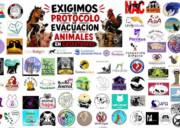 Más de 100 entidades de protección animal exigen protocolos para el rescate de animales en situaciones de emergencia
