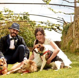 Ideas y pistas para bodas (extra) perrunas: bodas caninamente solidarias …