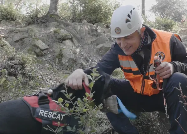 ACATH: así trabajan los equipos perri-humanos que ayudan a los bomberos a localizar a personas desaparecidas