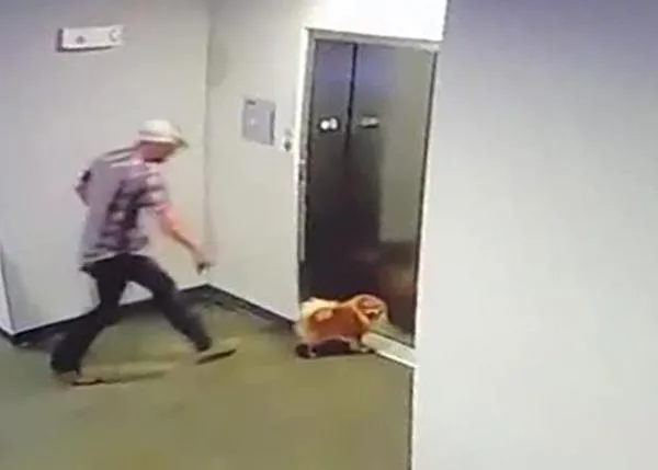 Escena de infarto junto a un ascensor tras quedar atrapada la correa de un perro