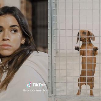 Miradas asesinas (de Oscar) de una influencer y concienciación contra …