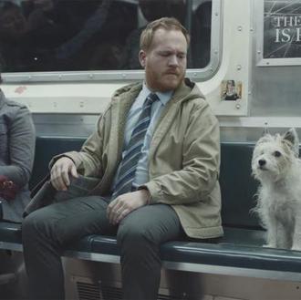 La pena no ayuda a las protectoras a salvar vidas …