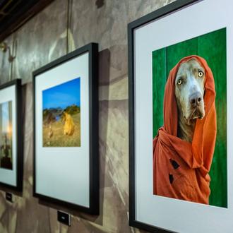 Fotos con arte y corazón: exposición solidaria de Bruma y …