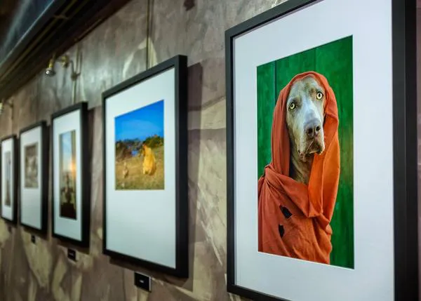 Fotos con arte y corazón: exposición solidaria de Bruma y Dani de los Muros en Barcelona