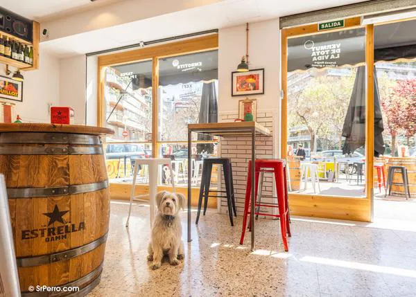 10 tascas con encanto donde son bienvenidos los perros, de Cádiz a Barcelona pasando por Teruel