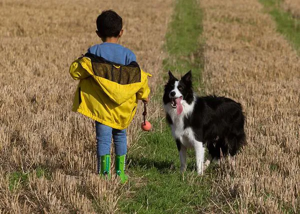 El duelo infantil ante la pérdida de un perro: la importancia de la buena comunicación, atendiendo a la edad de los niños
