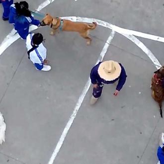 Un colegio en Colombia se convierte en casa de acogida …