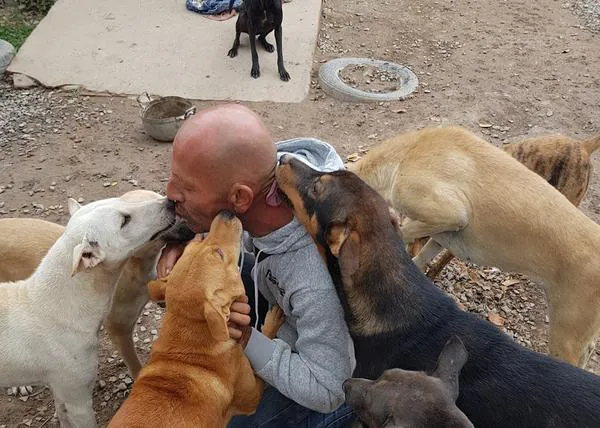 Un hombre bueno lucha cada día por los perros en Tailandia y Cambodia: rescata, cuida y ayuda a cientos de animales