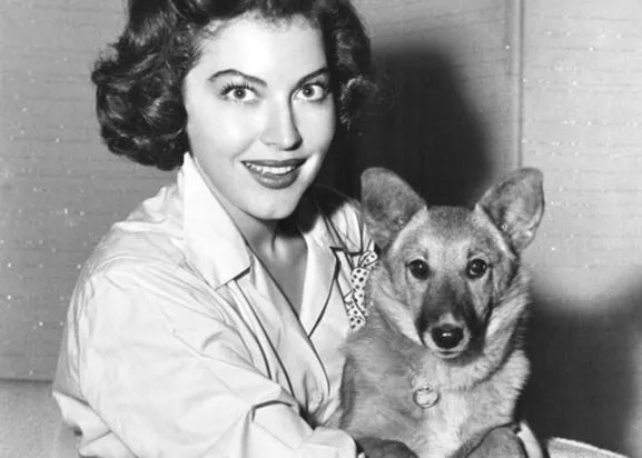 Ava Gardner y los perros -y Marilyn Monroe y Frank Sinatra