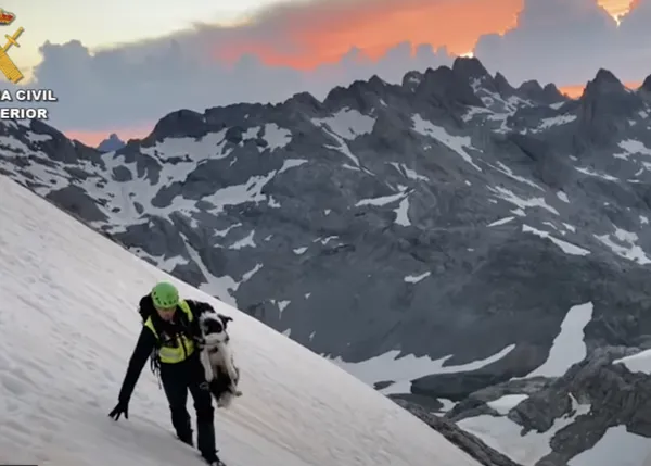 Impresionante rescate del GREIM de un perro que quedó atrapado en Picos de Europa