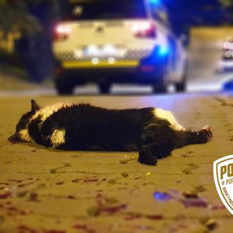 ¿Cómo considera la Policía que deberían perseguirse los delitos contra …
