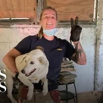El (increíble y emocionante) momento en el que los bomberos …