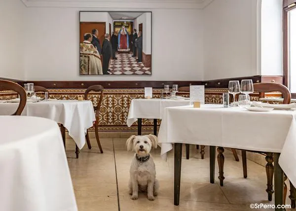 A estas alturas, agosto 2026, ¿cómo es posible que aún se genere polémica cuando un restaurante dice que es dog friendly?