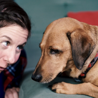 Adoptuda, la receta ideal para los perros que no tienen …