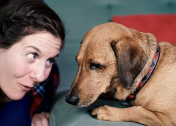 Adoptuda, la receta ideal para los perros que no tienen hogar