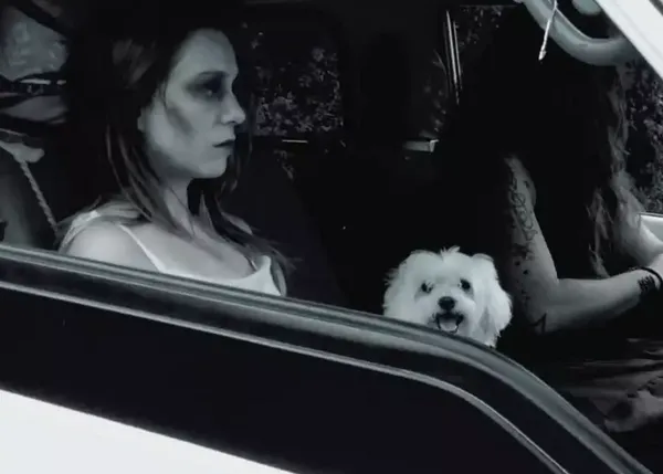 La lucha contra el abandono de perros en versión cortometraje de terror gore